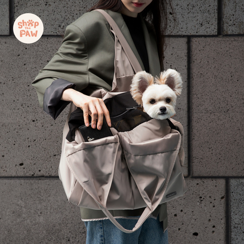 Hidden pet carrier outlet