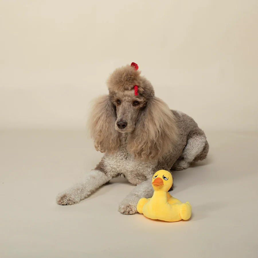 Floating duck dog toy discount