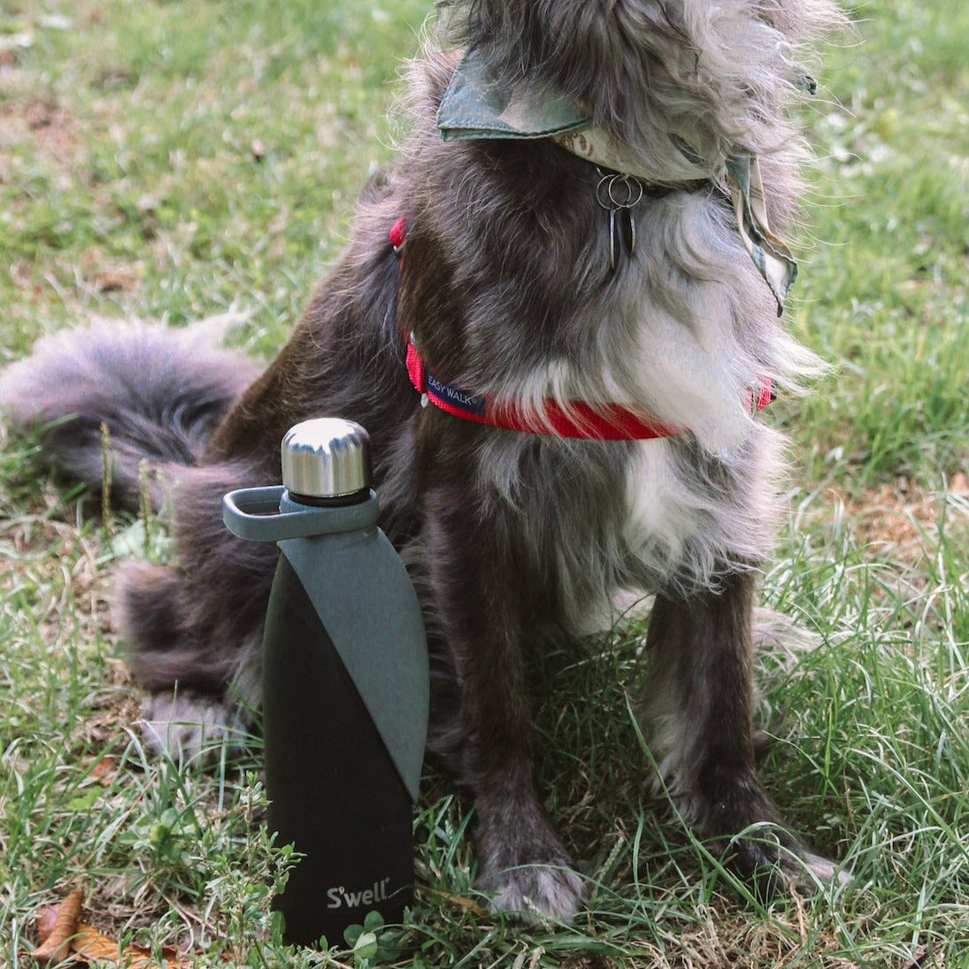 Swell Travel Dog Bowl Attachment Grey Shop The Paw