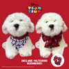 Disney Tsum Tsum | Year Of The Dragon BUNDLE - Dog Apparel - Disney/Pixar - Shop The Paw