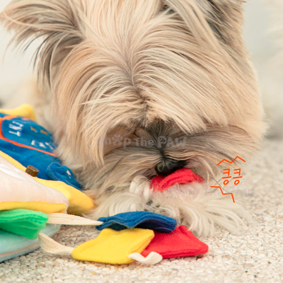 Bite Me Laundry Day Book Nose Work Dog Toy - Toys - BiteMe - Shop The Paw