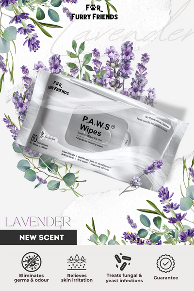 For Furry Friends Pet’s Activated Water Sanitizer (P.A.W.S) 60 Wipes - Lavender - Grooming - For Furry Friends - Shop The Paw
