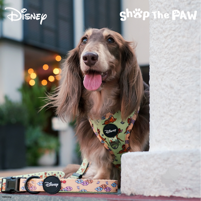 Disney Adjustable Harness | Bambi - Pet Collars & Harnesses - Disney/Pixar - Shop The Paw
