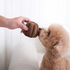 Lambwolf Canele Pet Toys