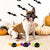 Fringe Studio Let's Fang Out Small Plush Dog Toy - Toys - Fringe Studio - Shop The Paw