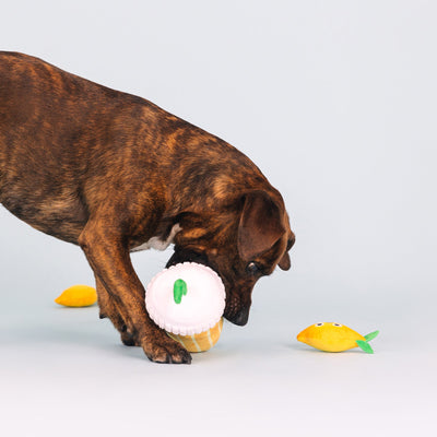 Fringe Studio Pucker Up Lemonade Dog Toy - Toys - Fringe Studio - Shop The Paw