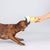 Fringe Studio Pucker Up Lemonade Dog Toy - Toys - Fringe Studio - Shop The Paw