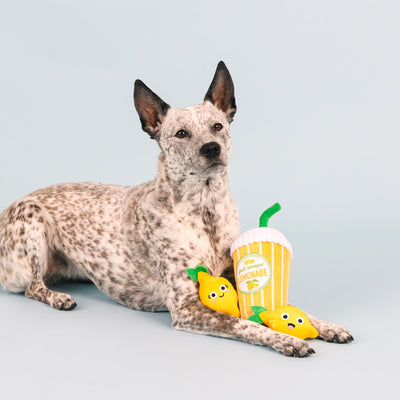 Fringe Studio Pucker Up Lemonade Dog Toy - Toys - Fringe Studio - Shop The Paw