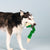 Fringe Studio Hisses and Kisses Dog Toy - Toys - Fringe Studio - Shop The Paw