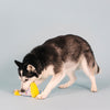 Fringe Studio Time To Celebrate Wearable Plush Party Hat - Yellow Dog Toy - Toys - Fringe Studio - Shop The Paw