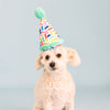 Fringe Studio Cheers For A Barkday Wearable Plush Party Hat - Turquoise Dog Toy - Toys - Fringe Studio - Shop The Paw