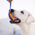 GiGwi Push To Mute - Rugby - Dog Toys - GiGwi - Shop The Paw