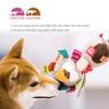 GiGwi Plush Friendz with TPR Johnny Stick - Lion - Dog Toys - GiGwi - Shop The Paw