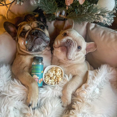 Meaty Bubbles - Popcorn Flavour [Valentine's Day Specials] - Dog Toys - Meaty Bubbles - Shop The Paw