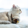 GiGwi Melody Chaser with Motion-activated Sound Chip - Bird - cat toys - GiGwi - Shop The Paw