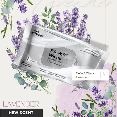 For Furry Friends Pet’s Activated Water Sanitizer (P.A.W.S) 60 Wipes - Lavender - Grooming - For Furry Friends - Shop The Paw