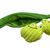 GiGwi Meow Than 1 Cat Toy - Frog with Legume - cat toys - GiGwi - Shop The Paw
