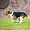 GiGwi SkipDawg Whistling Ball - Dog Toys - GiGwi - Shop The Paw