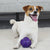 GiGwi Rolling Ball with Bell - Dog Toys - GiGwi - Shop The Paw