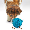 Brightkins Pufferfish Treat Dispenser - Large -  - Brightkins Pet - Shop The Paw