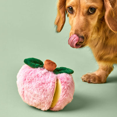 The Foggy Dog Apple Interactive Snuffle Dog Toy