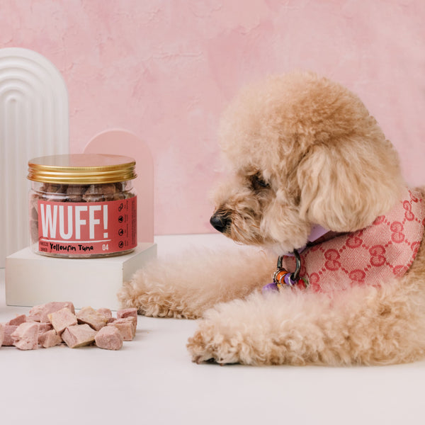 Wuff Freeze Dried Pet Treats Yellowfin Tuna Shop The Paw