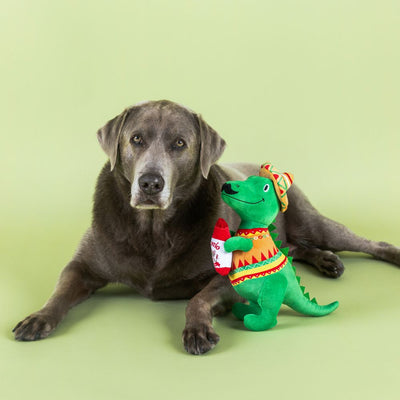 Fringe Studio Fiesta Saurus Rex Plush Dog Toy - Toys - Fringe Studio - Shop The Paw