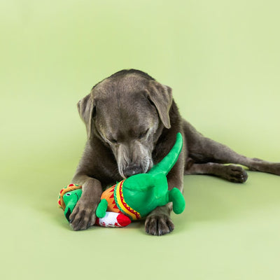 Fringe Studio Fiesta Saurus Rex Plush Dog Toy - Toys - Fringe Studio - Shop The Paw