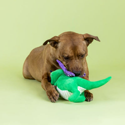 Fringe Studio Flutter Saurus Rex Plush Dog Toy - Toys - Fringe Studio - Shop The Paw