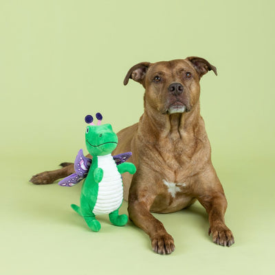 Fringe Studio Flutter Saurus Rex Plush Dog Toy - Toys - Fringe Studio - Shop The Paw