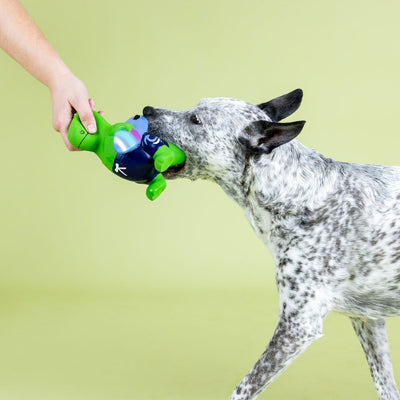 Fringe Studio Good Vibes, High Tides Latex Rex Plush Dog Toy - Toys - Fringe Studio - Shop The Paw