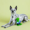 Fringe Studio Good Vibes, High Tides Latex Rex Plush Dog Toy - Toys - Fringe Studio - Shop The Paw