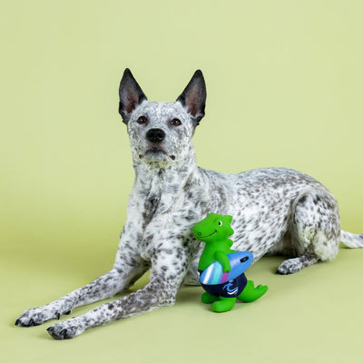 Fringe Studio Good Vibes, High Tides Latex Rex Plush Dog Toy - Toys - Fringe Studio - Shop The Paw