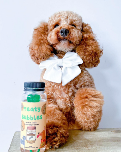 Meaty Bubbles - Peanut Butter - Dog Toys - Meaty Bubbles - Shop The Paw