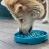 Sodapup - eBowl Enrichment Slow Feeder Bowl for Dogs - Baja
