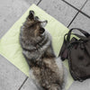 Pups & Bubs Jouir Travel Mat