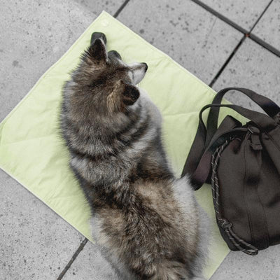 Pups & Bubs Jouir Travel Mat