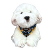 [PRE-ORDER] Disney Adjustable Harness | Lady and The Tramp - Pet Collars & Harnesses - Disney/Pixar - Shop The Paw