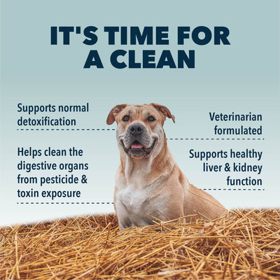 Four Leaf Rover Liver / Kidney Clean - Detox - Supplement - Four Leaf Rover - Shop The Paw