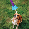 Brightkins Magic Wand! Treat Dispensers - Star -  - Brightkins Pet - Shop The Paw