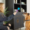 Brightkins Magic Wand! Treat Dispensers - Star -  - Brightkins Pet - Shop The Paw