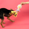 the furryfolks Ostrikakan Nosework Toy