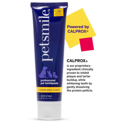 Petsmile Professional Pet Toothpaste - London Broil Flavor