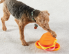 Brightkins Pupstrami Surprise! Treat Puzzle -  - Brightkins Pet - Shop The Paw