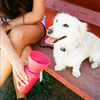 Springer Pet Flip Dog Travel Bottle