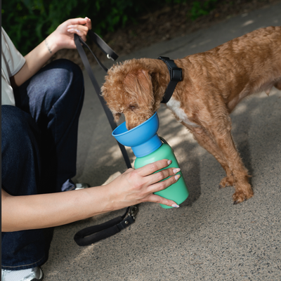 Springer Pet Flip Dog Travel Bottle