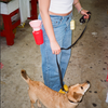 Springer Pet Flip Dog Travel Bottle