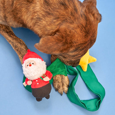 the furryfolks Santa Paws Nosework Toy