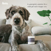 Fera Pet Organics Calming Support for Dogs and Cats - Supplement - Fera Pet Organics - Shop The Paw