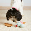 The Foggy Dog Ice Cream Interactive Snuffle Dog Toy